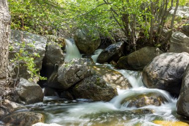 Ormandaki kayaların üzerinden akan şelalenin manzarası.