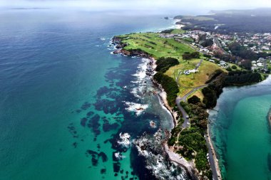 Güneşli bir günde yeşil ağaçlarla kaplı sahil şeridine bakan bir kuş bakışı.