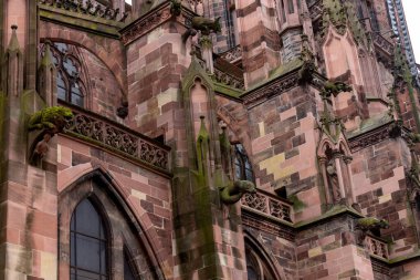 Freiburg Munster 'ın (katedral) yakın plan çekimi, Almanya, Avrupa