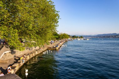 Güneşli bir günde turistlerin oturduğu ve doğanın tadını çıkardığı Limmat nehrinin güzel bir manzarası.