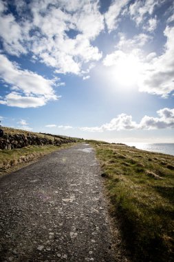 Sabahları vahşi doğada güzel bir manzara.