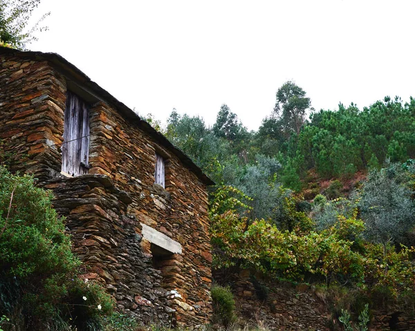 Starý Kamenný Dům Obklopený Hustými Stromy Vesnici Arouca Portugalsko — Stock fotografie