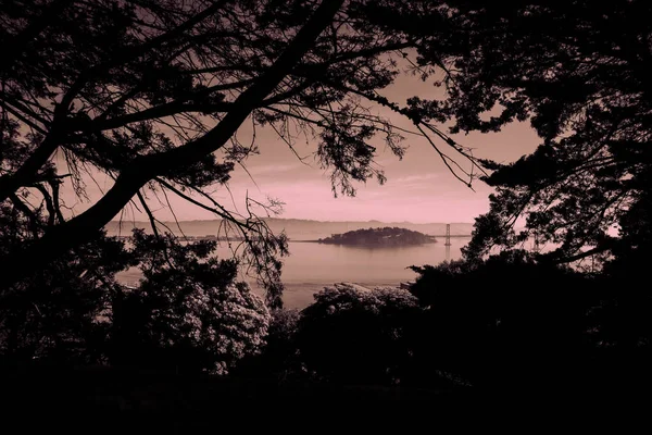 Una Silueta Oscura Árboles Frondosos Con Una Vista Del Agua —  Fotos de Stock