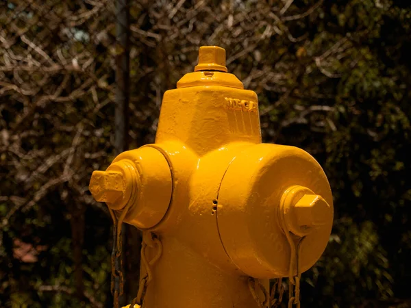 Eine Nahaufnahme Eines Gelben Feuerlöschers Mit Bäumen Hintergrund Einem Wohngebiet — Stockfoto