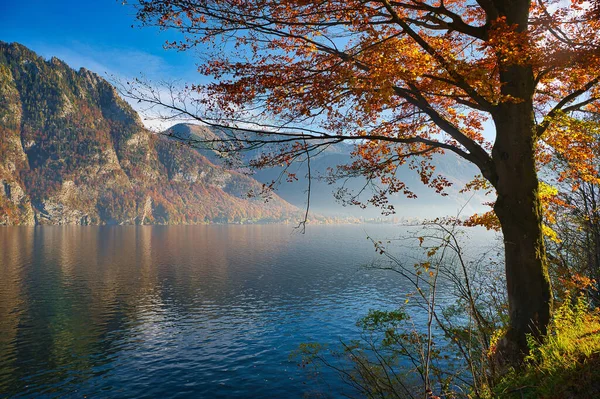 Belo Outono Perto Lago Traunsee Área Salzkammergut Alta Áustria — Fotografia de Stock