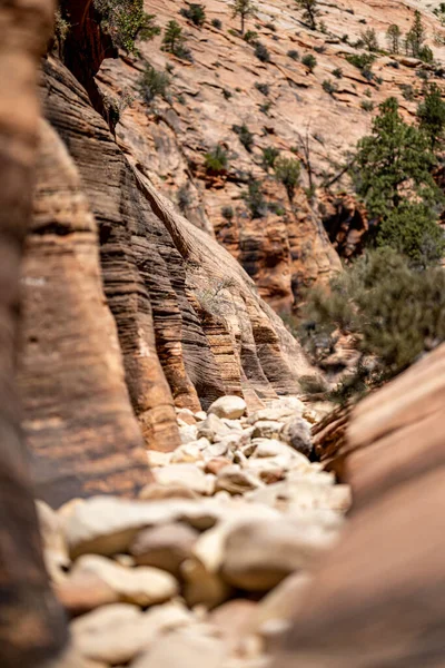 Uma Vista Panorâmica Penhascos Rochosos Árvores Parque Nacional Bryce Canyon — Fotografia de Stock