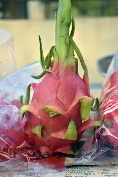 Pitahaya Fruta Dragón Fruto Del Cactus Fruta Del Dragón Cultiva —  Fotos de Stock