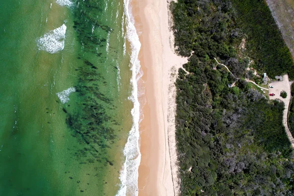 Una Vista Aérea Una Playa Con Árboles Verdes Densos — Foto de Stock