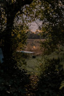 Ağaçlar arasındaki manzarada ormanda bir piknik masası.