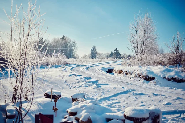 Hermoso Plano Una Tierra Cubierta Nieve Con Árboles Nevados Fondo —  Fotos de Stock