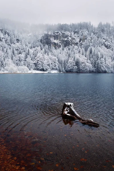 Priveliște Uluitoare Unui Lac Sub Pădure Albă Acoperită Zăpadă Timpul — Fotografie, imagine de stoc