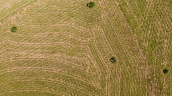 草原の空中ビューを刈った後 — ストック写真