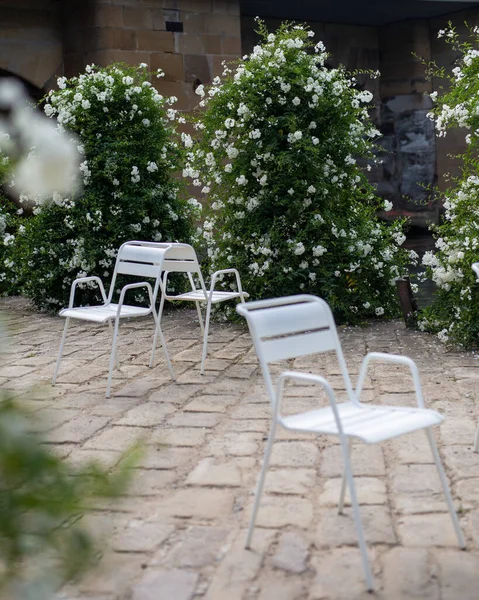 Jardim Com Cadeiras Brancas Vazias — Fotografia de Stock