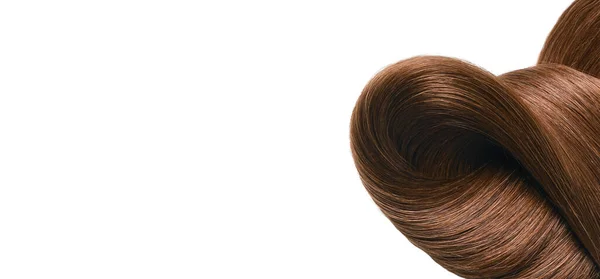 Güzel Yumuşak Sağlıklı Bir Kahverengi Saç Teli Beyaz Bir Arka — Stok fotoğraf