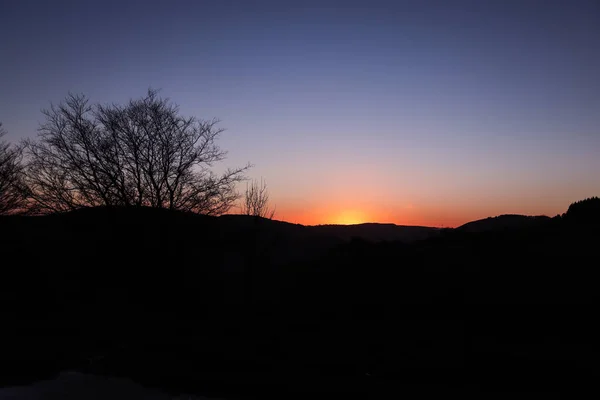 Una Silhouette Alberi Con Tramonto Sullo Sfondo — Foto Stock