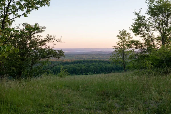 Een Prachtige Opname Van Een Landschap Vol Bomen Planten — Stockfoto