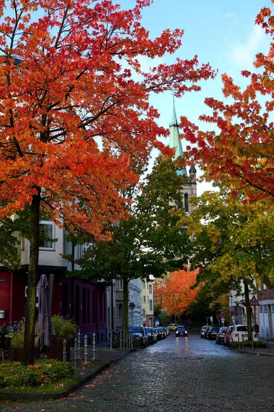 Die Schönen Herbstbäume Entlang Der Dorfstraße Aachen Nordrhein Westfalen Deutschland — Stockfoto