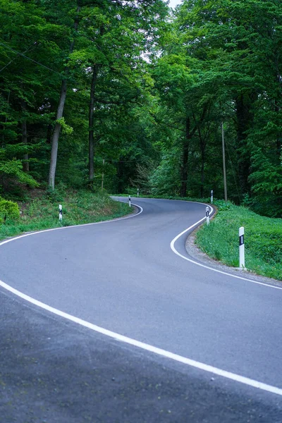 Een Verticaal Schot Van Een Asfaltweg Omringd Door Helder Groen — Stockfoto