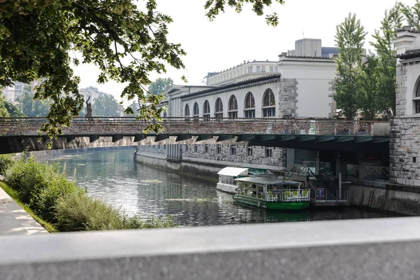 昼間は川を渡る建物の間の橋 — ストック写真