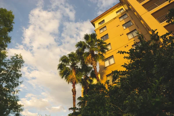 Tiro Ângulo Baixo Edifício Residencial Com Árvores Palmas — Fotografia de Stock