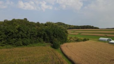 Tepeler ve ağaçlarla çevrili yeşil tarlalardan oluşan 4K bir hava sahası.