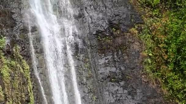 Felvétel Gyönyörű Vízesésről Erdőben Manoa Vízesés Honolulu Hawaii — Stock videók
