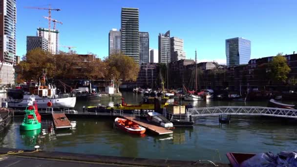 晴れた日に港からのロッテルダムの景色 — ストック動画