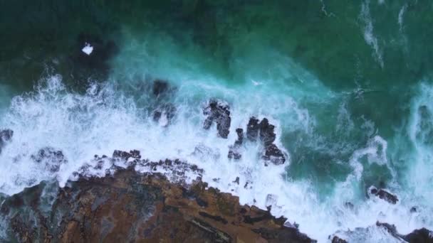 ニューサウスウェールズ州の岩のビーチに波がクラッシュして海の周りの航空遅い動き — ストック動画