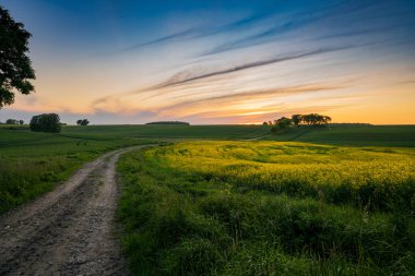 Yeşil çimlerin üzerinde güzel bir günbatımı manzarası