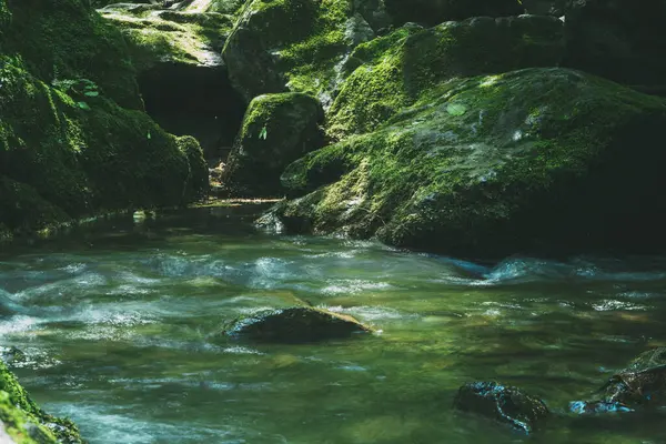 Río Que Fluye Cerca Piedras Musgosas — Foto de Stock