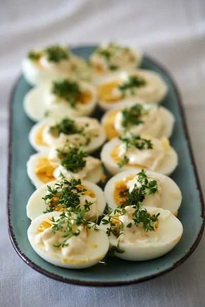 Haşlanmış Yumurtalar Tabakta Otlarla Kaplı — Stok fotoğraf