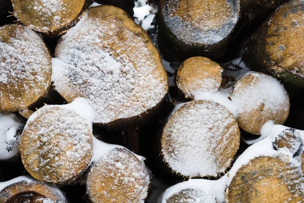 Kışın Karla Kaplı Odun Yığınına Yakın Çekim — Stok fotoğraf