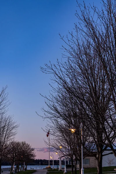 Красивые Желтые Уличные Фонари Деревья Пасмурным Закатом Канадским Флагом — стоковое фото