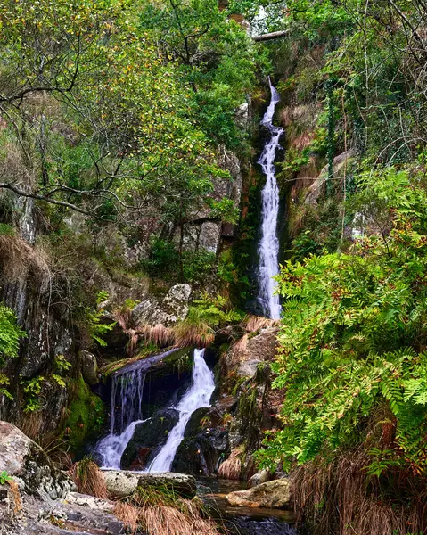 Plan Vertical Une Belle Cascade Coulant Dans Forêt Aroes Portugal — Photo