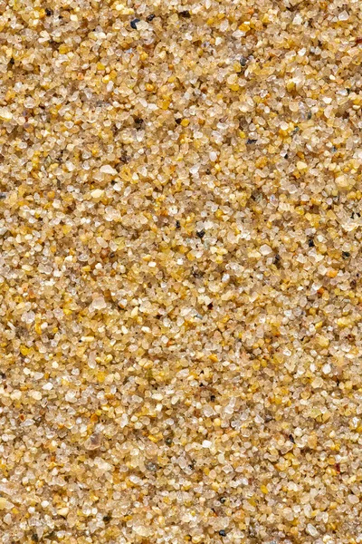 Large Grains Sand Beach Colorful Background — Stock Photo, Image