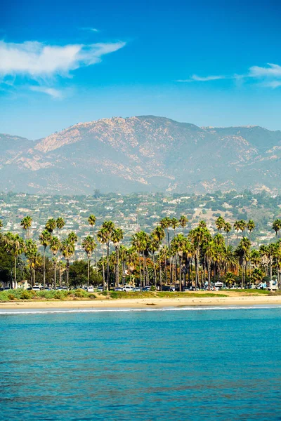 Vertical Shot Beach Palm Trees Mountains Background Los Angeles Usa — Stock Photo, Image