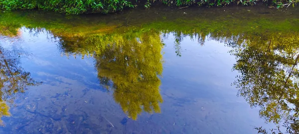 Reflejo Los Árboles Cielo Río — Foto de Stock