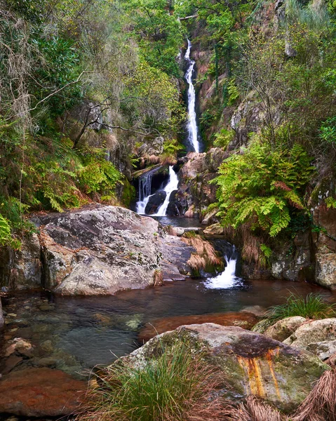 葡萄牙阿罗埃斯森林中流淌着美丽瀑布的垂直镜头 — 图库照片