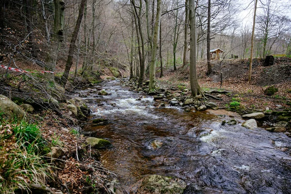 Cénico Rio Isle Flui Através Das Florestas Ilsenburg Harz Alemanha — Fotografia de Stock