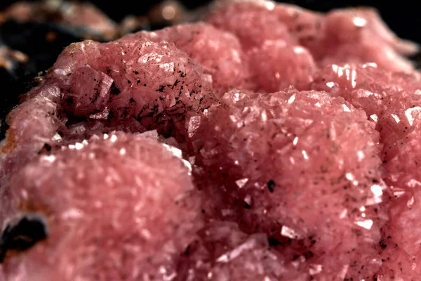 Closeup Shot Raw Marinated Minced Meat — Stock Photo, Image