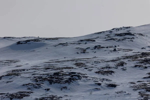 Hemsedal Norveç Teki Karlı Manzara — Stok fotoğraf