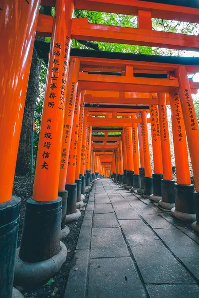 Tiro Vertical Santuário Inari Fushimi Kyoto Japão — Fotografia de Stock