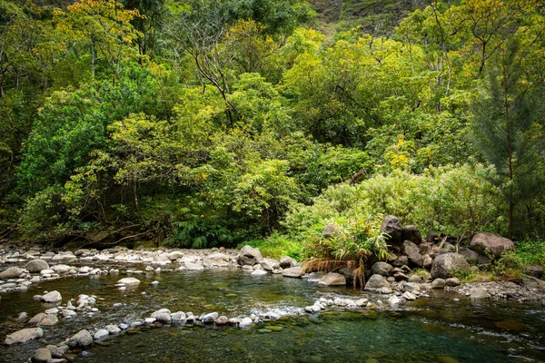 Shot Pools River Lao Valley Maui — Stock Photo, Image