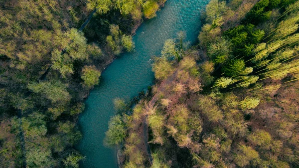Una Vista Aérea Río Rodeado Por Hermoso Bosque Día Soleado —  Fotos de Stock