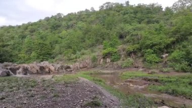 Ormanda bir dağ deresi