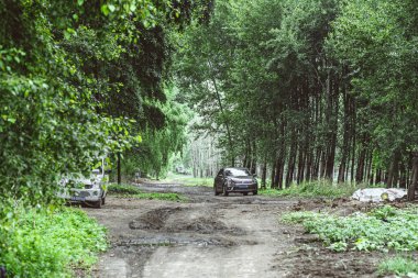 Yoğun yeşil bir ormanda çamurlu bir yolda giden bir araba.
