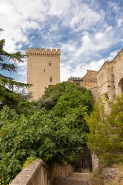 Avignon, papalık sarayı, Fransa 'nın güneyinde güzel bir anıt.