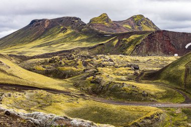 Landmannaugavegur Yazın İzlanda 'da yeşil tepeler