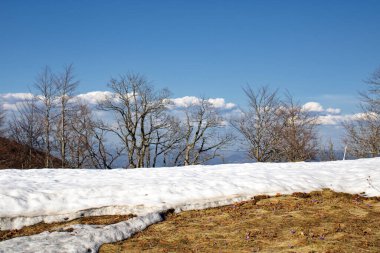 Güneşli bir günde eriyen karlı bir yamaçta
