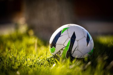 Ağacın yanındaki çimlerin üzerindeki topun seçici odak noktası.